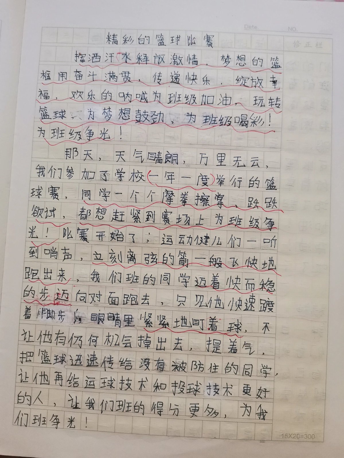 哪里能找到关于篮球责任感的书籍或文章